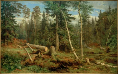 I. I. Chichkine, Abattage de bois