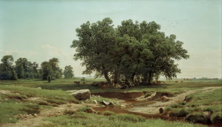 Jeunes chênes