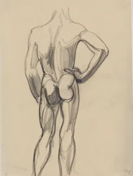 Modèle masculin, vu de dos