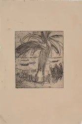 Palmier au bord de la mer