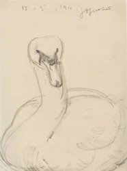 Cygne