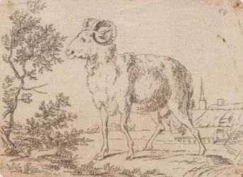 Un bélier
