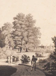 Jardin de Nordfeldt