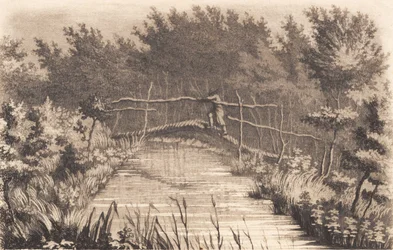 Partie du jardin de Sanderumgaard