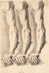 Feuille d