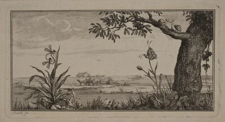 Vue sur un paysage plat, au premier plan une plante avec des insectes et un arbre avec des escargots