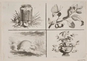 Vignettes pour les œuvres de Bonnet