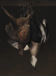 Gibier. Un faisan et un eider