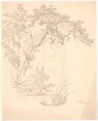 Arbres