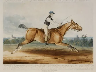 Portrait de M. William Hutchinson sur 