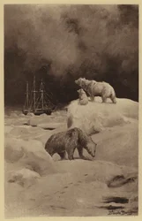 Peary dans les régions arctiques