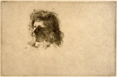 Une tête
