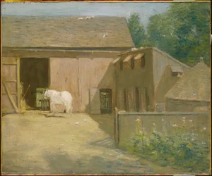 Basse-cour de Nouvelle-Angleterre
