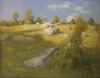 Pâturage des hautes terres