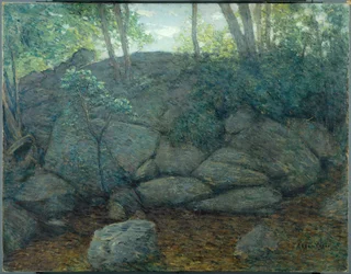 Rochers dans les bois