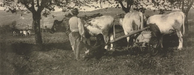 Équipe de labour