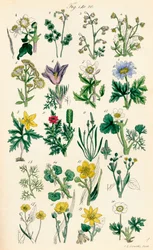 Page d