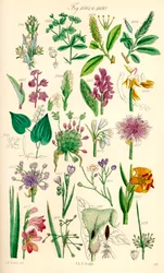 Page d