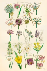 Page d