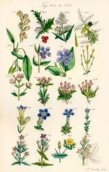 Page d