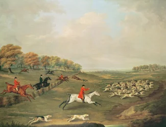 Chasse en pleine course