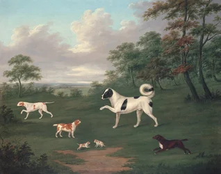 Chiens de chasse dans un paysage