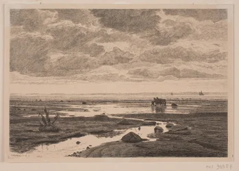 Embouchure de la rivière sur la plage