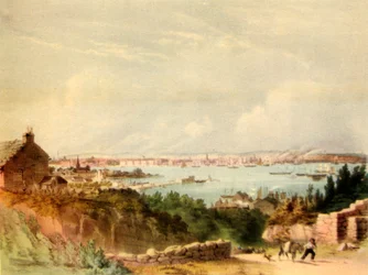 Liverpool en 1846, 1942