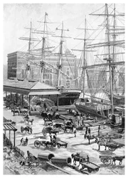 Transport maritime, Circular Quay, Sydney, Nouvelle-Galles du Sud, Australie
