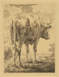 Vache dans un paysage