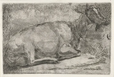 Chèvre couchée