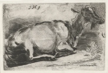 Chèvre couchée