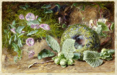 Liserons et nid