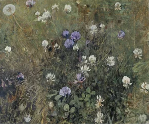 Trèfle en fleur