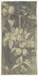 Tros Keizer-Alexander-appels