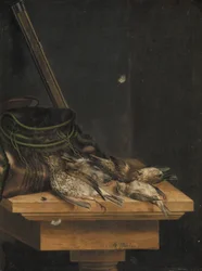 Oiseaux morts