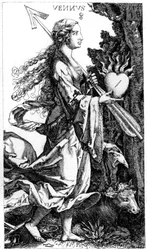 Vénus