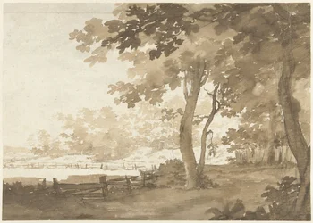 Paysage avec un chemin sous les arbres