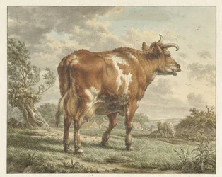 Vache pie rouge dans un paysage