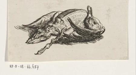 Canard mort