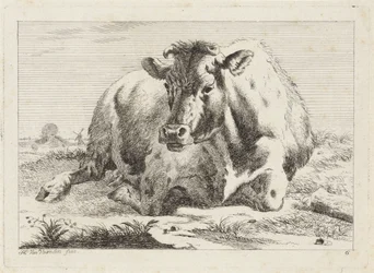Vache couchée