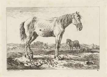 Cheval debout dans un paysage