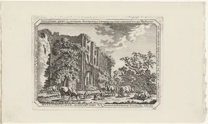Bétail près des ruines de Brederode