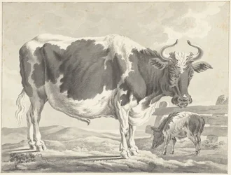 Taureau pie noir et un cochon