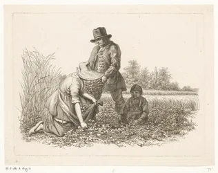 Ramasseurs de pommes de terre Etudes gravées (titre de la série)