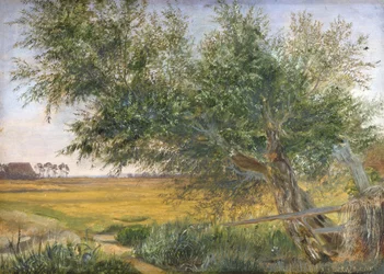 Le Vieil Arbre, 1842