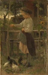 Nourrir les poules