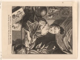 Portrait de Maria Sibylla Merian