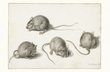 Quatre études d