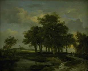 Chênes près d